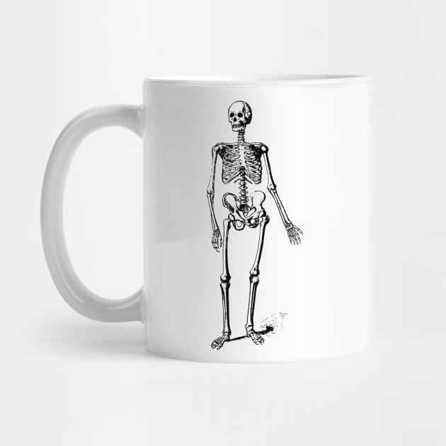 Skeleton by be yourself. design